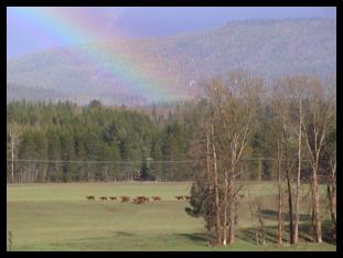 Spring at the ranch